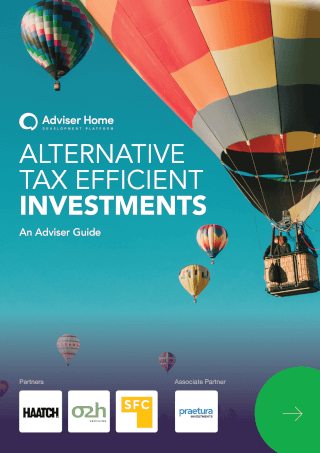 Alternative Tax Efficient Investments